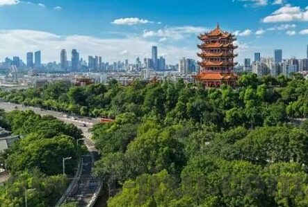篮彩比分 足球-从篮彩到足彩，一场跨越球场的数字博弈与投资哲学